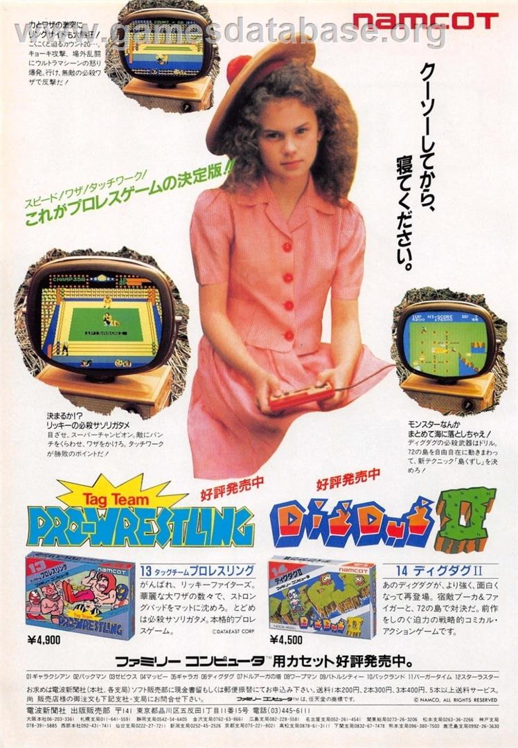 Tag Team Wrestling - Nintendo NES - Artwork - Advert