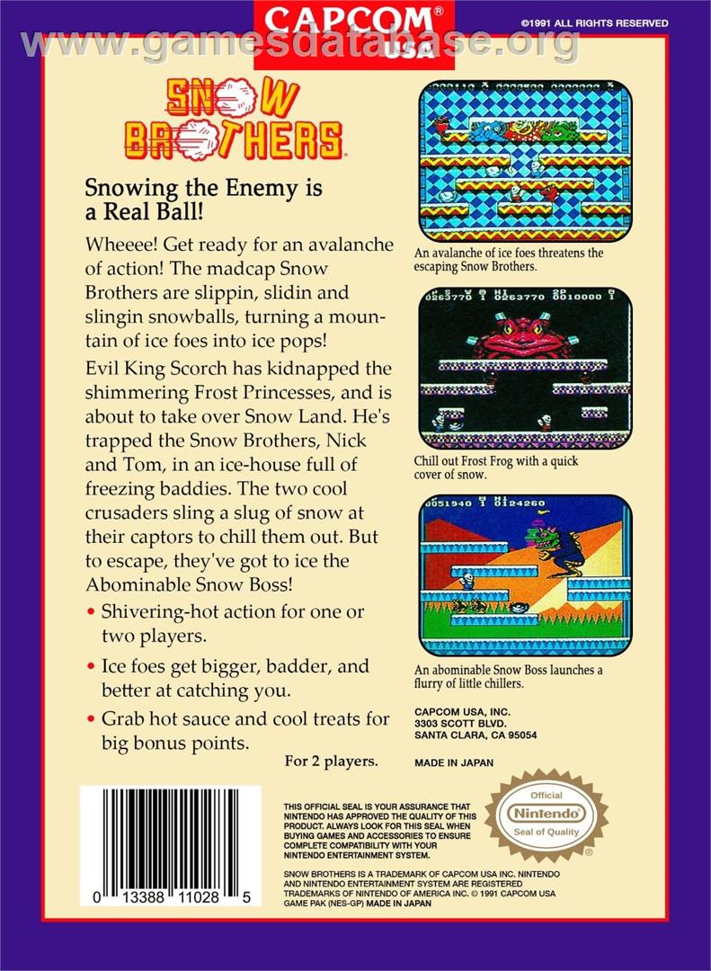 Snow Brothers - Nintendo NES - Artwork - Box Back