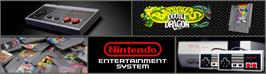 Arcade Cabinet Marquee for Battletoads And Double Dragon.