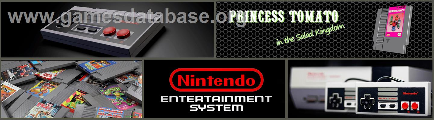 Princess Tomato in the Salad Kingdom - Nintendo NES - Artwork - Marquee