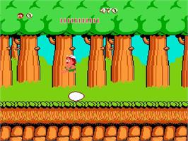 In game image of Adventure Island on the Nintendo NES.
