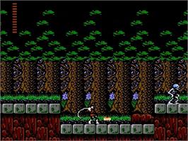 In game image of Castlevania 2: Simon's Quest on the Nintendo NES.