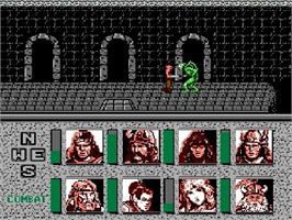 In game image of Heroes Of The Lance on the Nintendo NES.