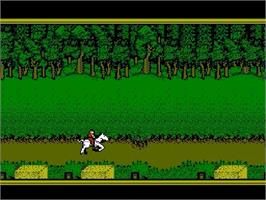 In game image of Hillsfar on the Nintendo NES.