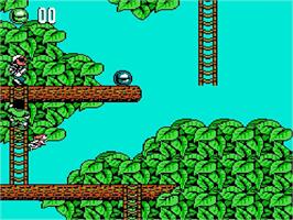 In game image of Hook on the Nintendo NES.