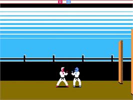 In game image of Karateka on the Nintendo NES.