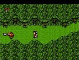 In game image of Legends of Owlia, The on the Nintendo NES.
