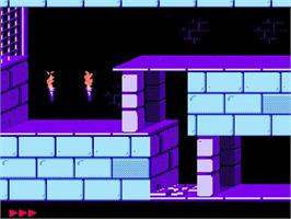 In game image of Prince Of Persia on the Nintendo NES.