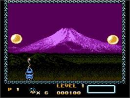 In game image of Super Pang on the Nintendo NES.