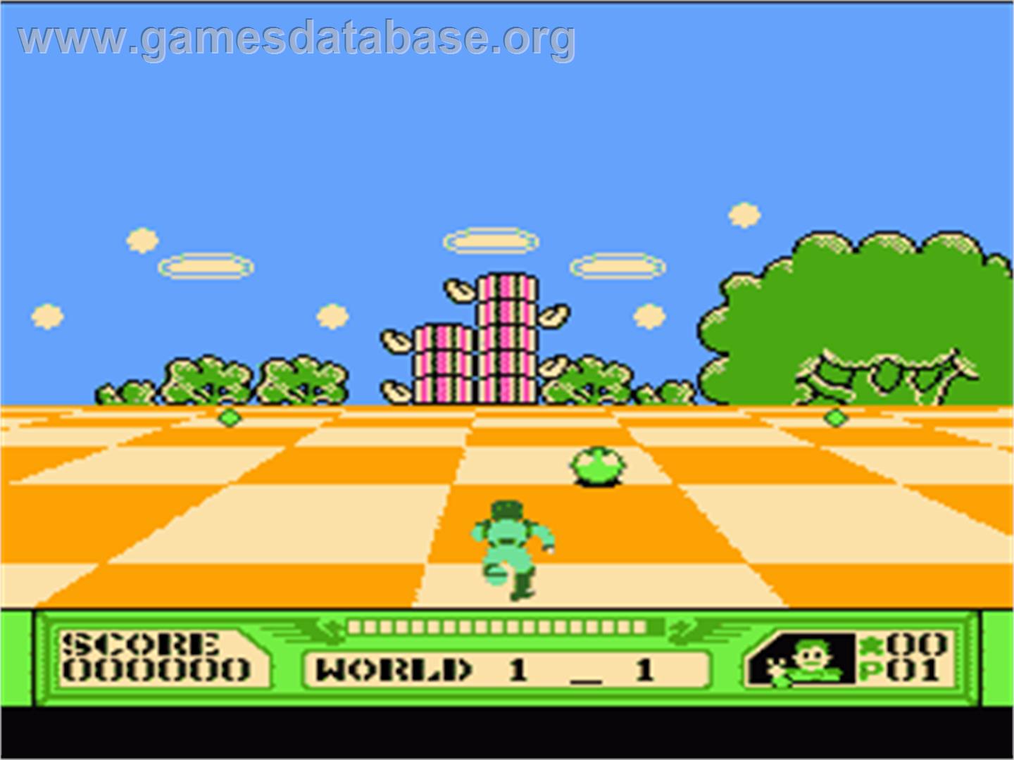 3D World Runner - Nintendo NES - Artwork - In Game