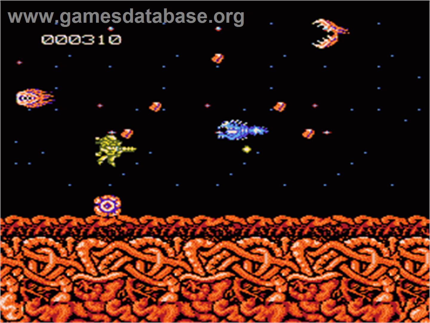 Abadox: The Deadly Inner War - Nintendo NES - Artwork - In Game
