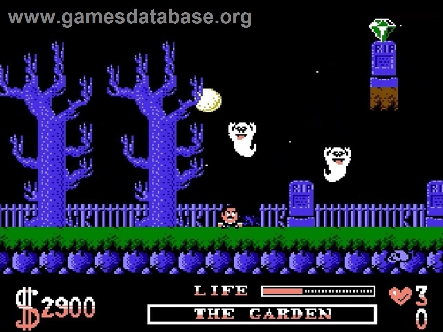 Addams Family, The - Nintendo NES - Artwork - In Game