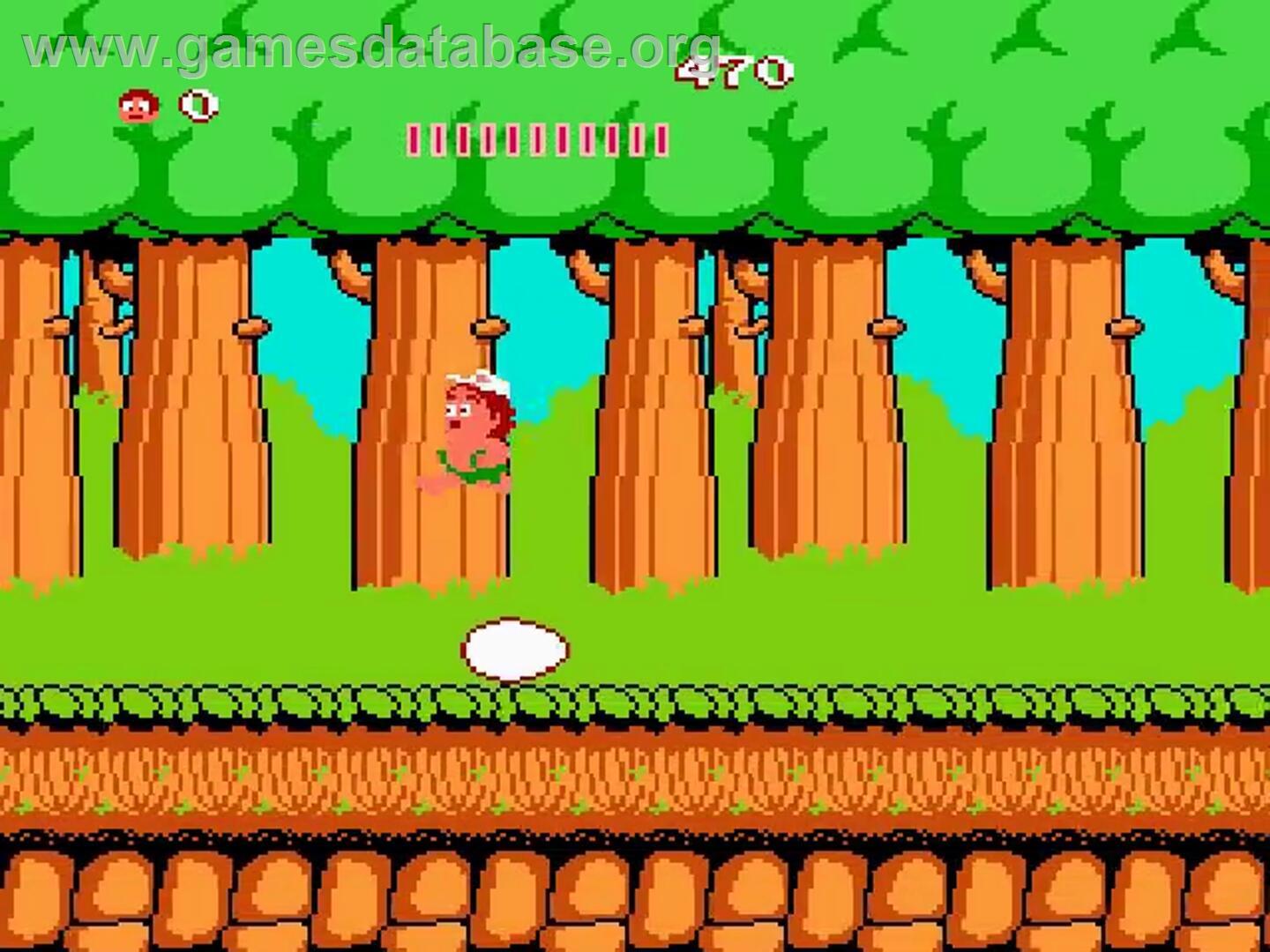 Adventure Island - Nintendo NES - Artwork - In Game