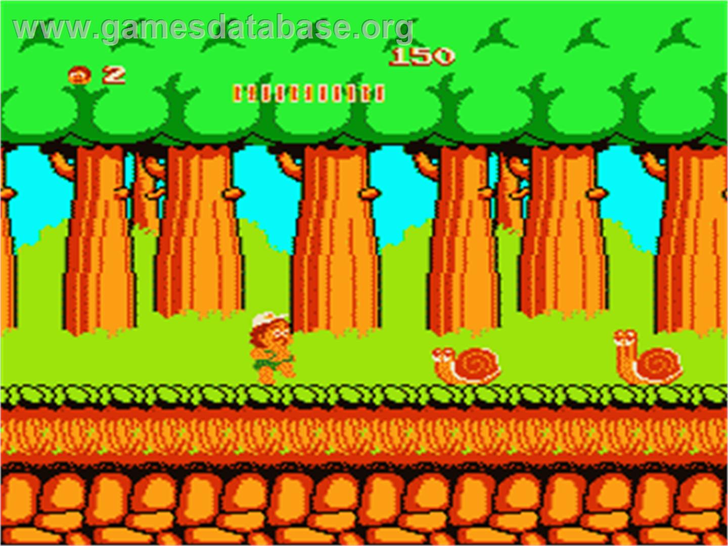 Adventure Island - Nintendo NES - Artwork - In Game