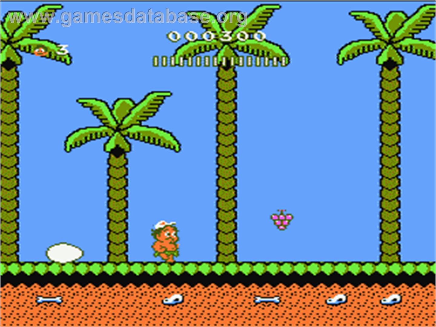 Adventure Island 2 - Nintendo NES - Artwork - In Game