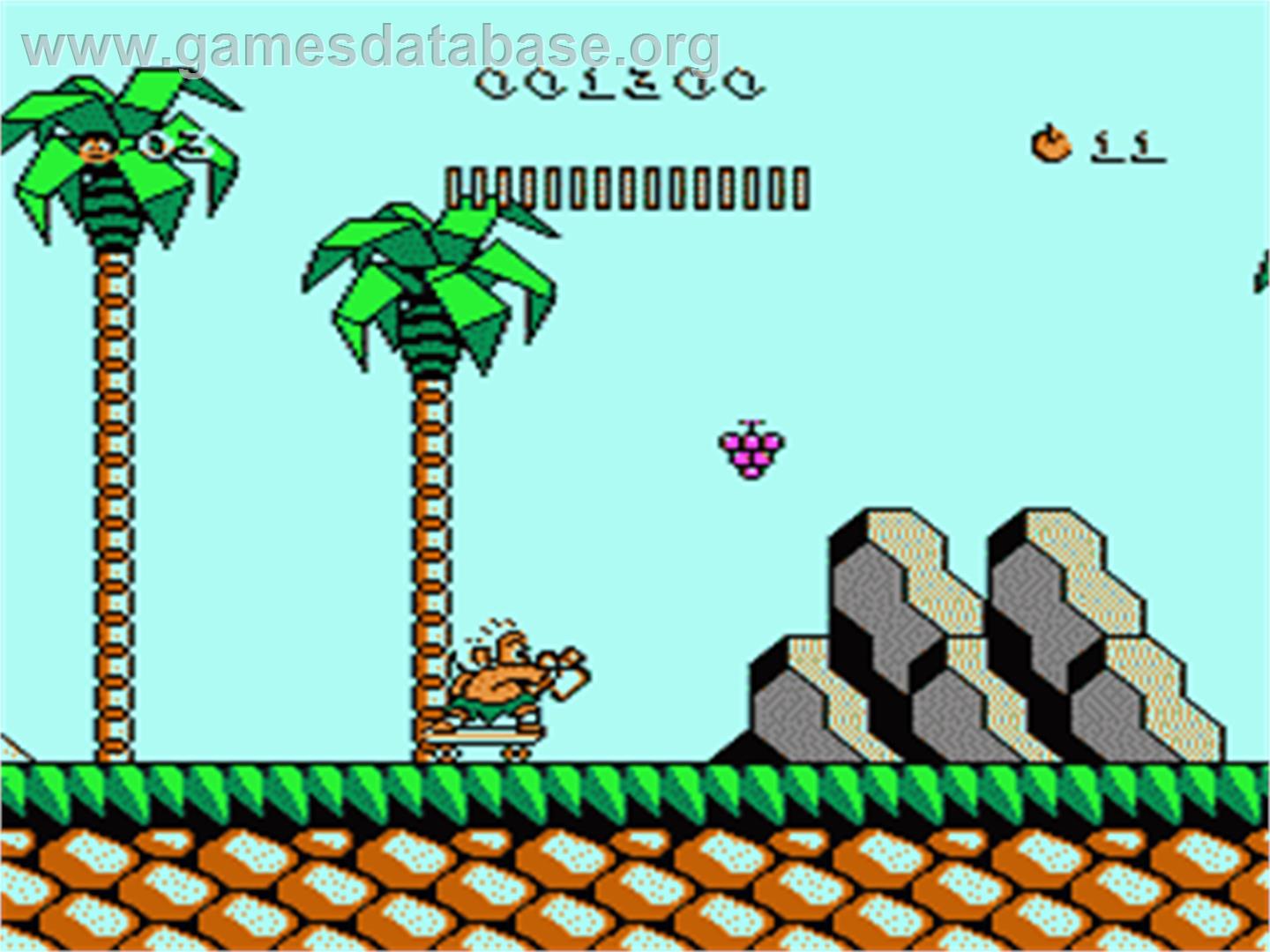 Adventure Island 3 - Nintendo NES - Artwork - In Game