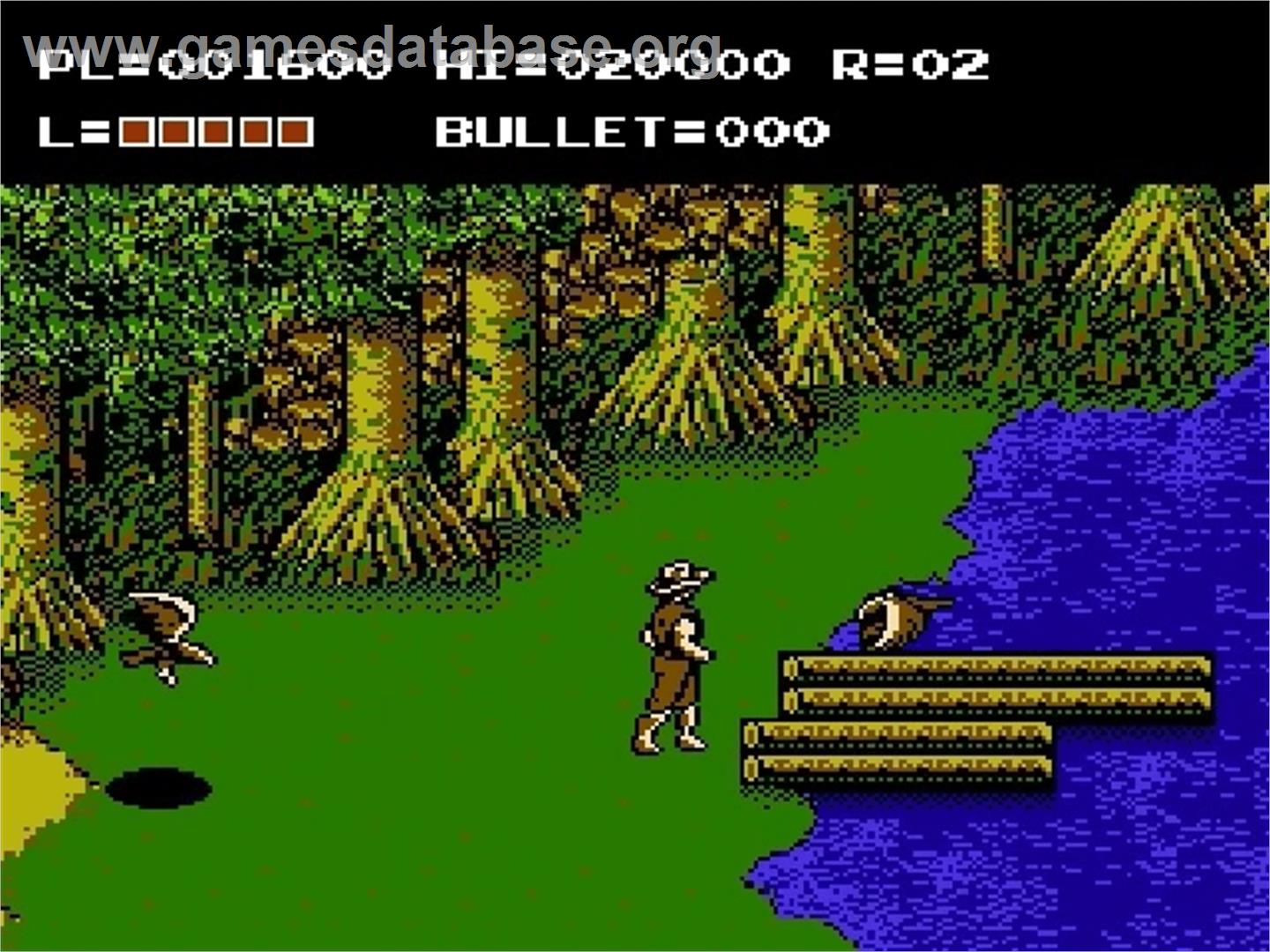 Adventures of Bayou Billy - Nintendo NES - Artwork - In Game