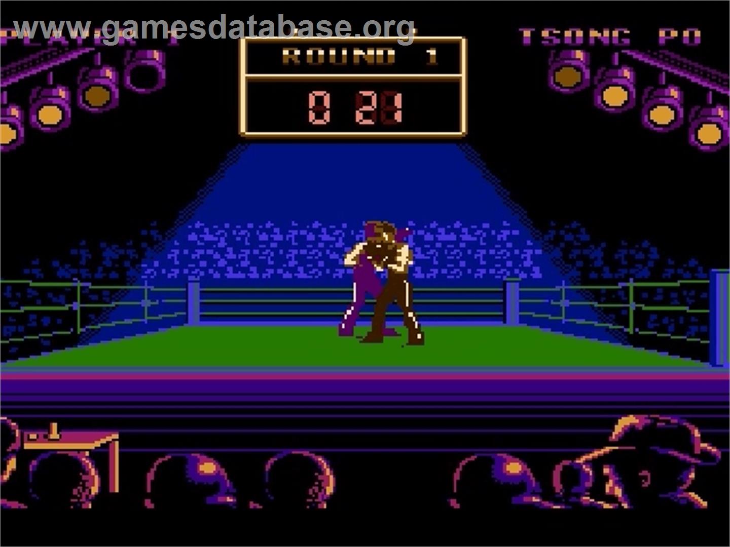 Best of the Best Championship Karate - Nintendo NES - Artwork - In Game