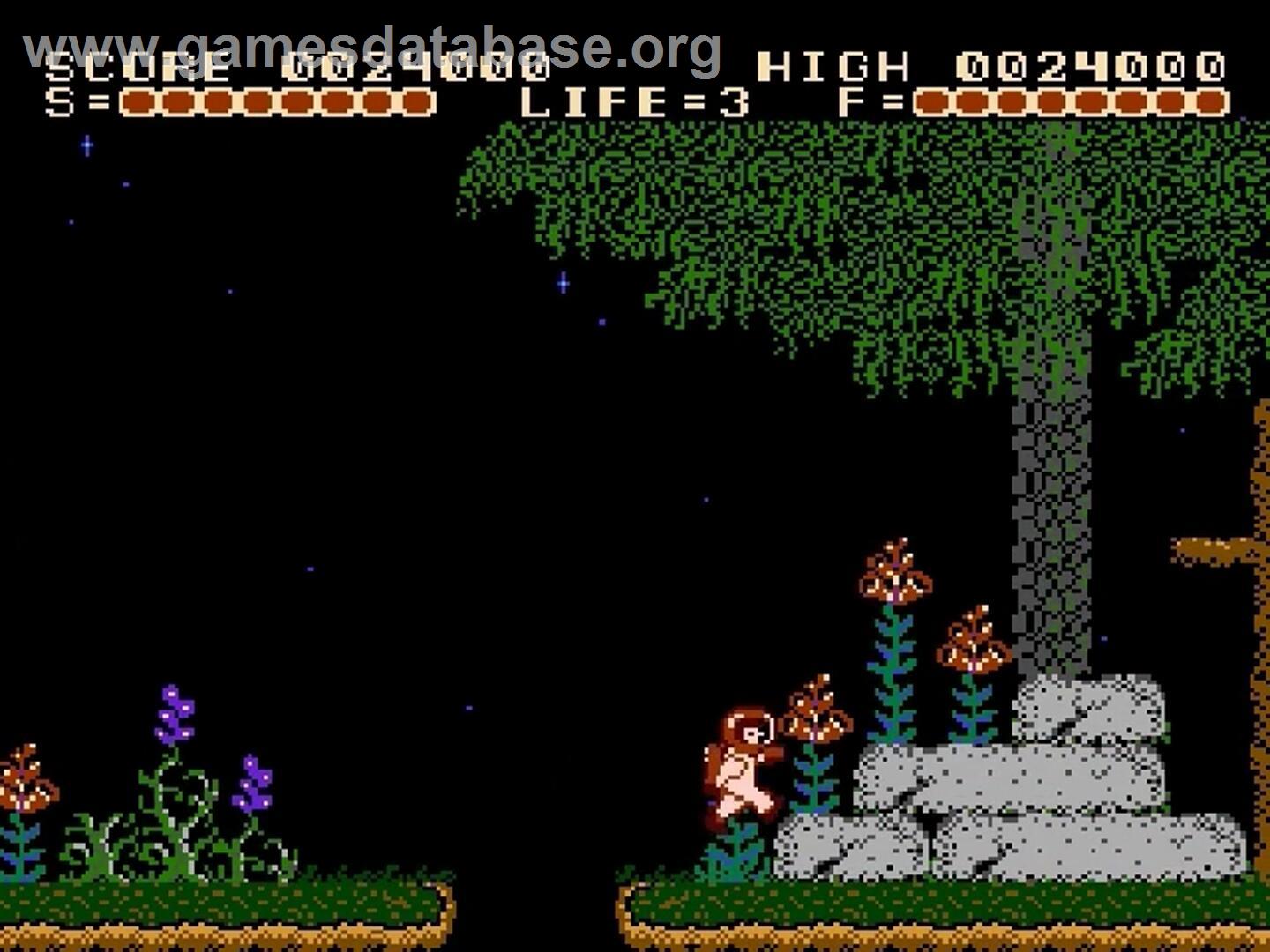 Captain Comic - The Adventure - Nintendo NES - Artwork - In Game