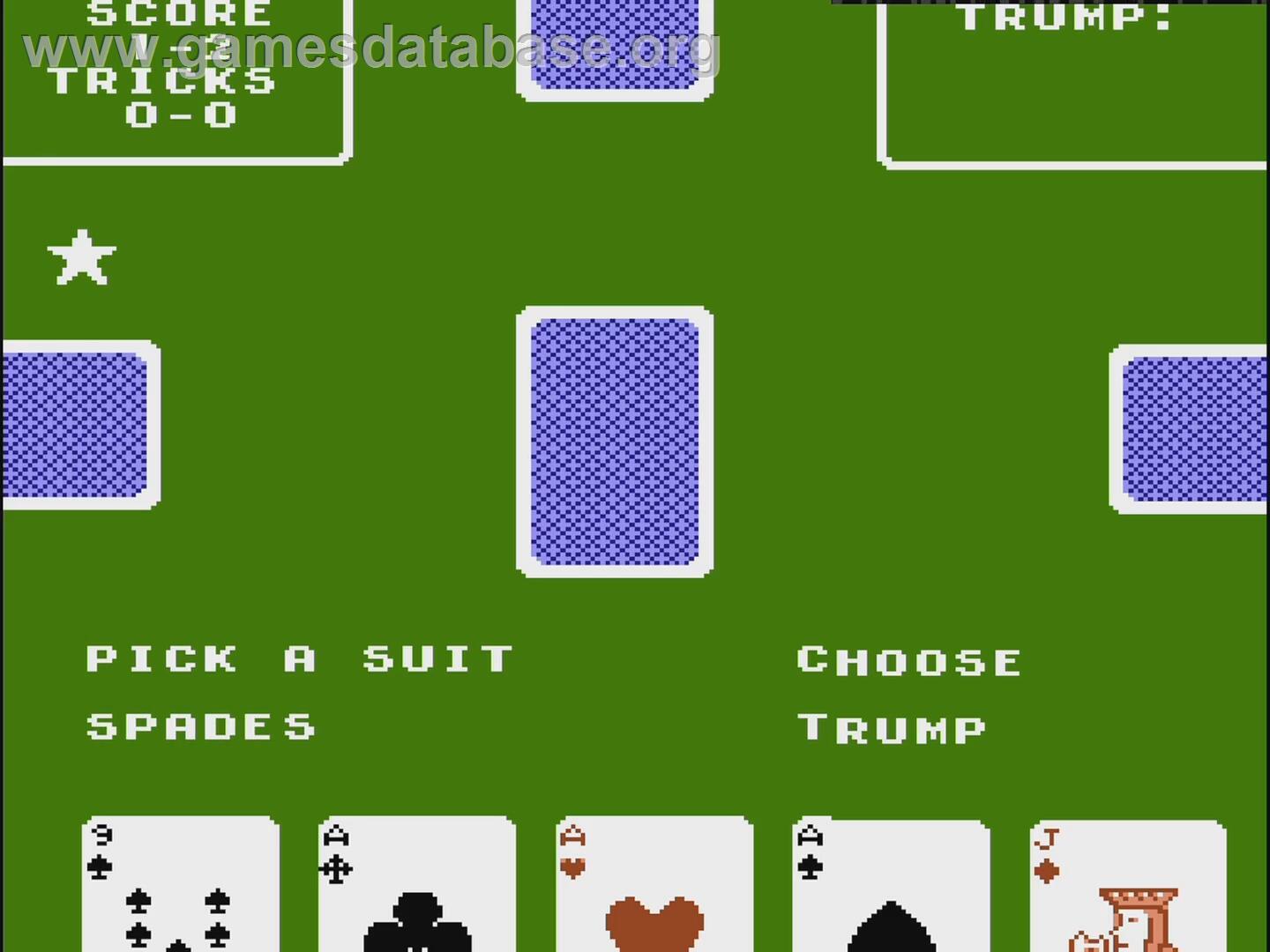 Euchre - Nintendo NES - Artwork - In Game