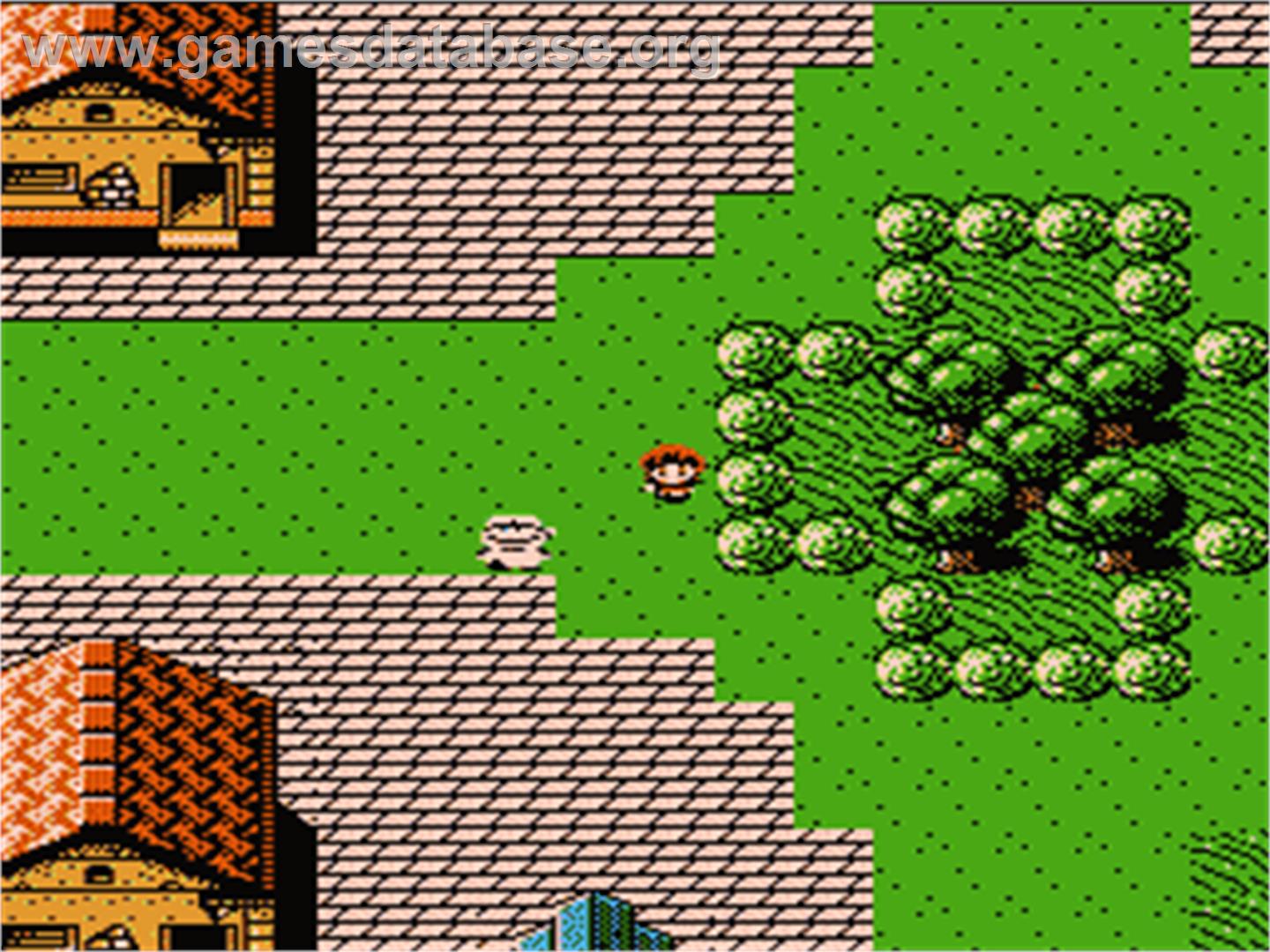 Faria: A World of Mystery and Danger - Nintendo NES - Artwork - In Game