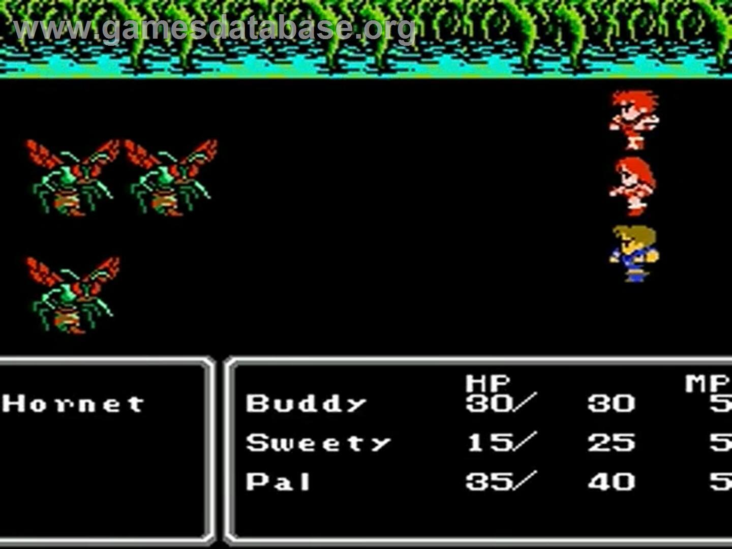 Final Fantasy 2 - Nintendo NES - Artwork - In Game