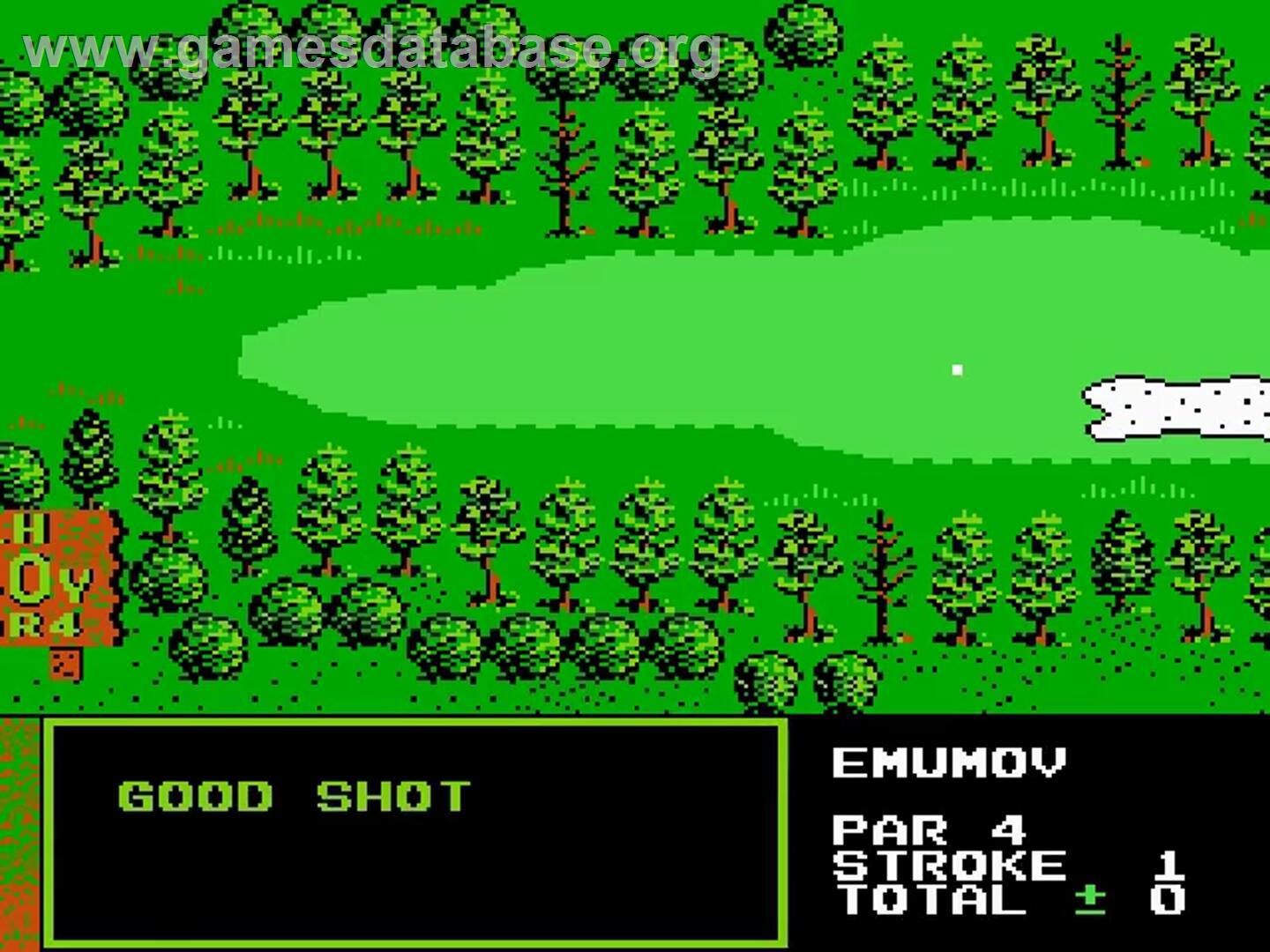 Golf Grand Slam - Nintendo NES - Artwork - In Game