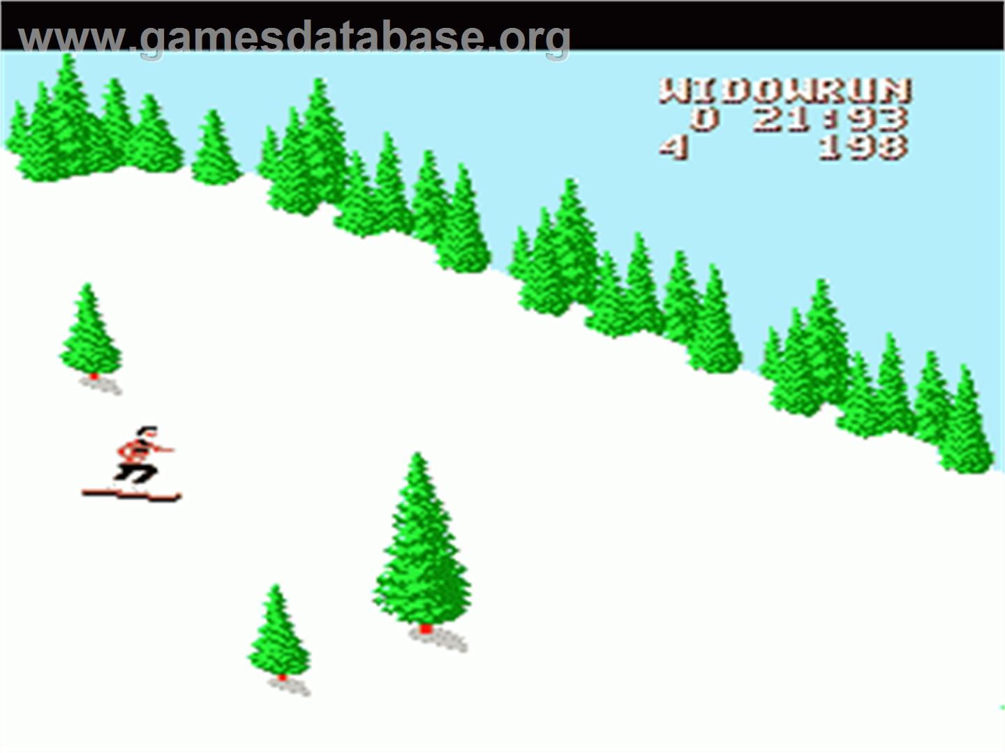 Heavy Shreddin' - Nintendo NES - Artwork - In Game