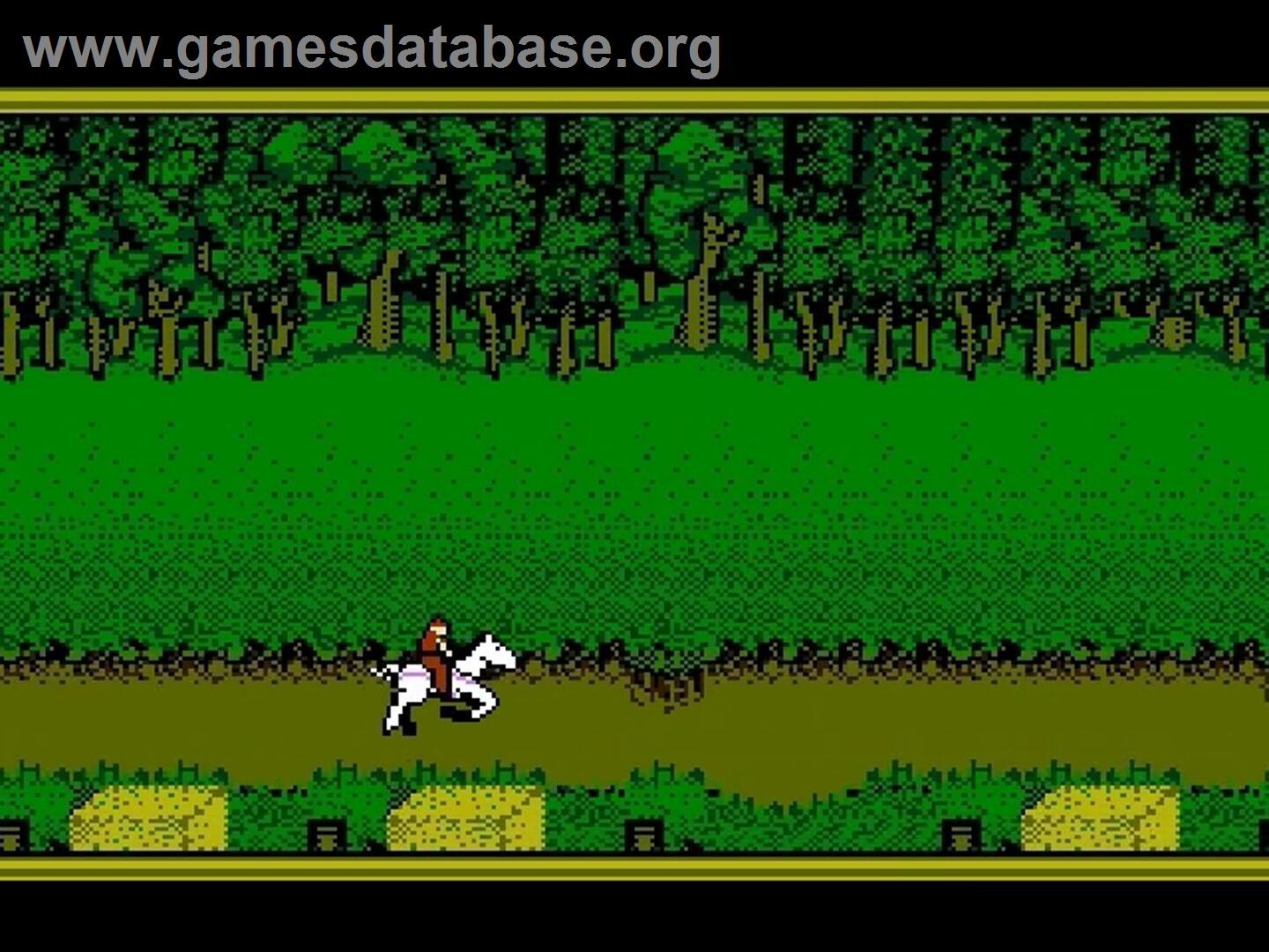 Hillsfar - Nintendo NES - Artwork - In Game
