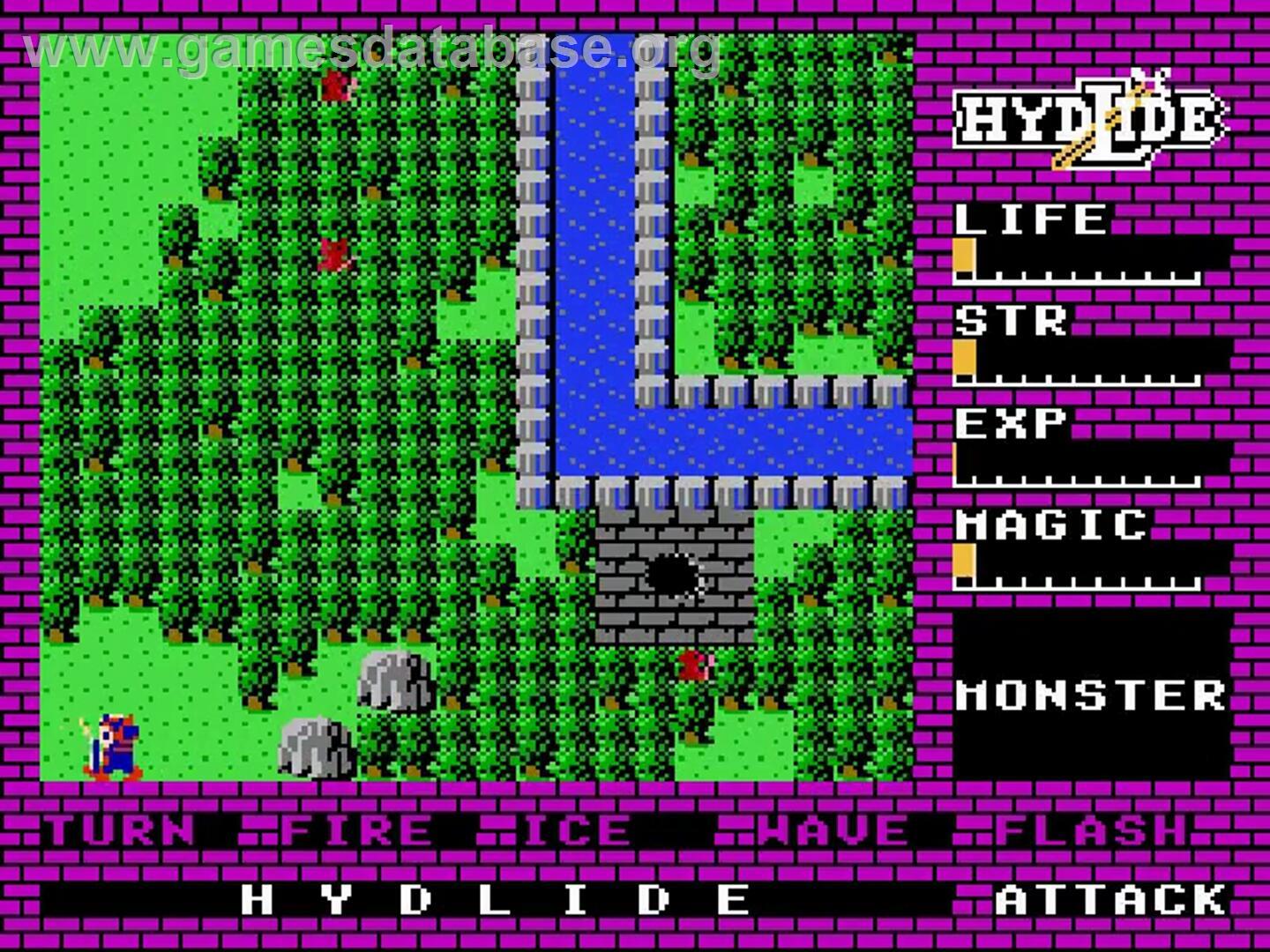 Hydlide - Nintendo NES - Artwork - In Game