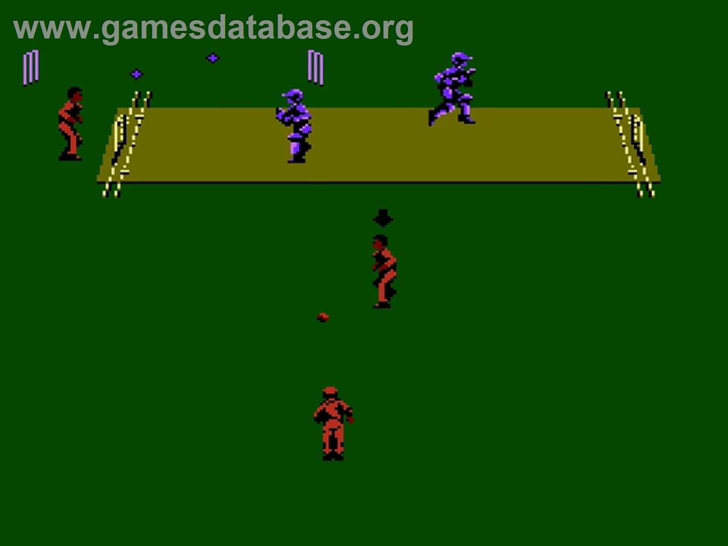International Cricket - Nintendo NES - Artwork - In Game