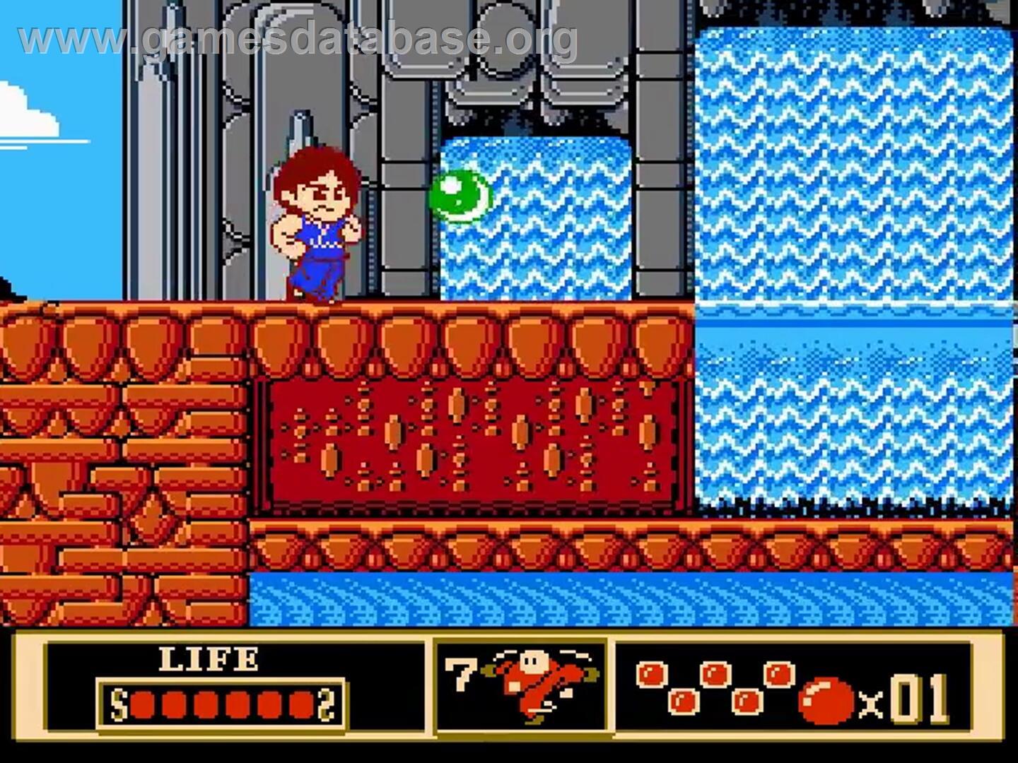 Jackie Chan's Action Kung Fu - Nintendo NES - Artwork - In Game