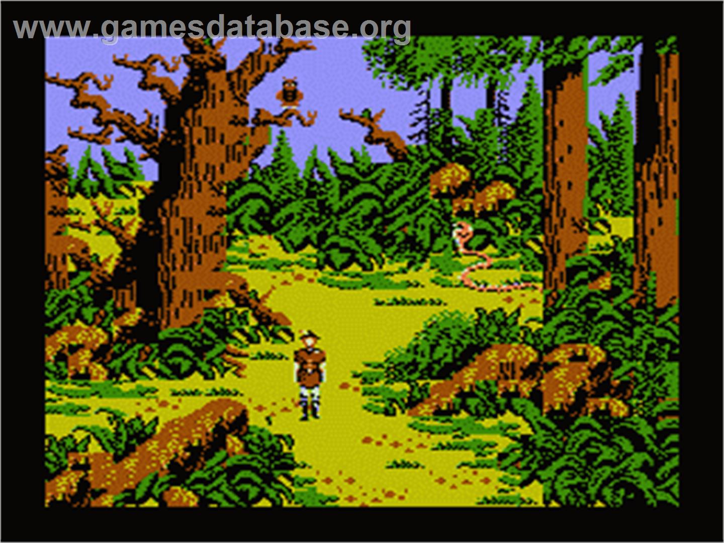 King's Quest V: Absence Makes the Heart Go Yonder - Nintendo NES - Artwork - In Game