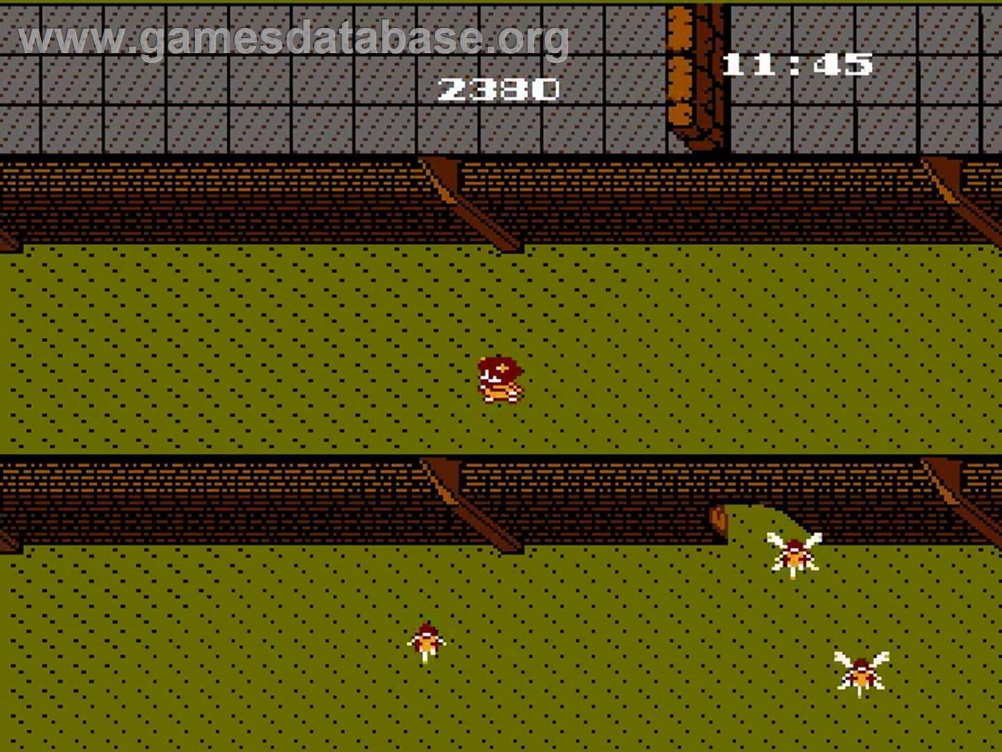 Labyrinth - Nintendo NES - Artwork - In Game