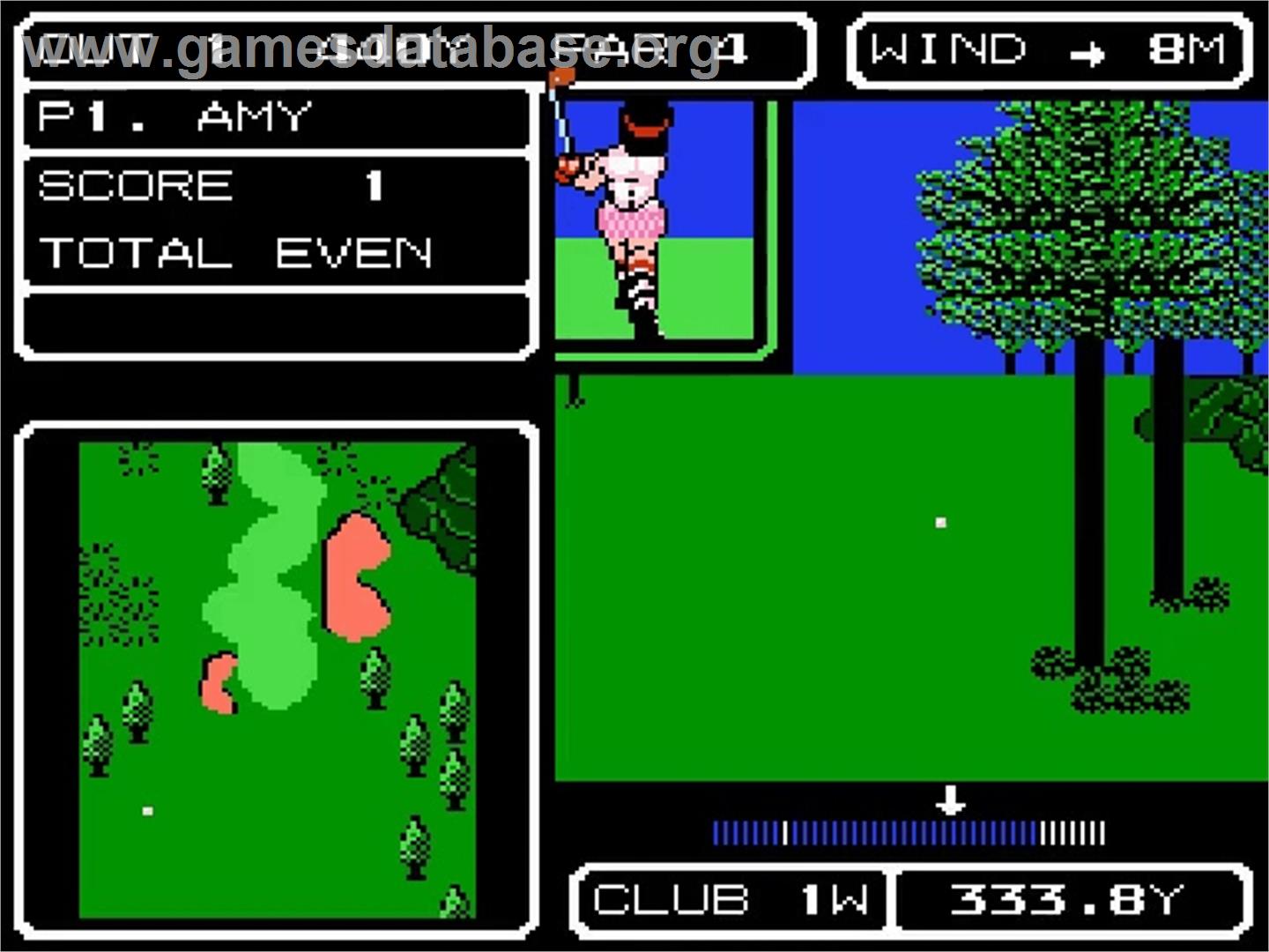 Lee Trevino's Fighting Golf - Nintendo NES - Artwork - In Game