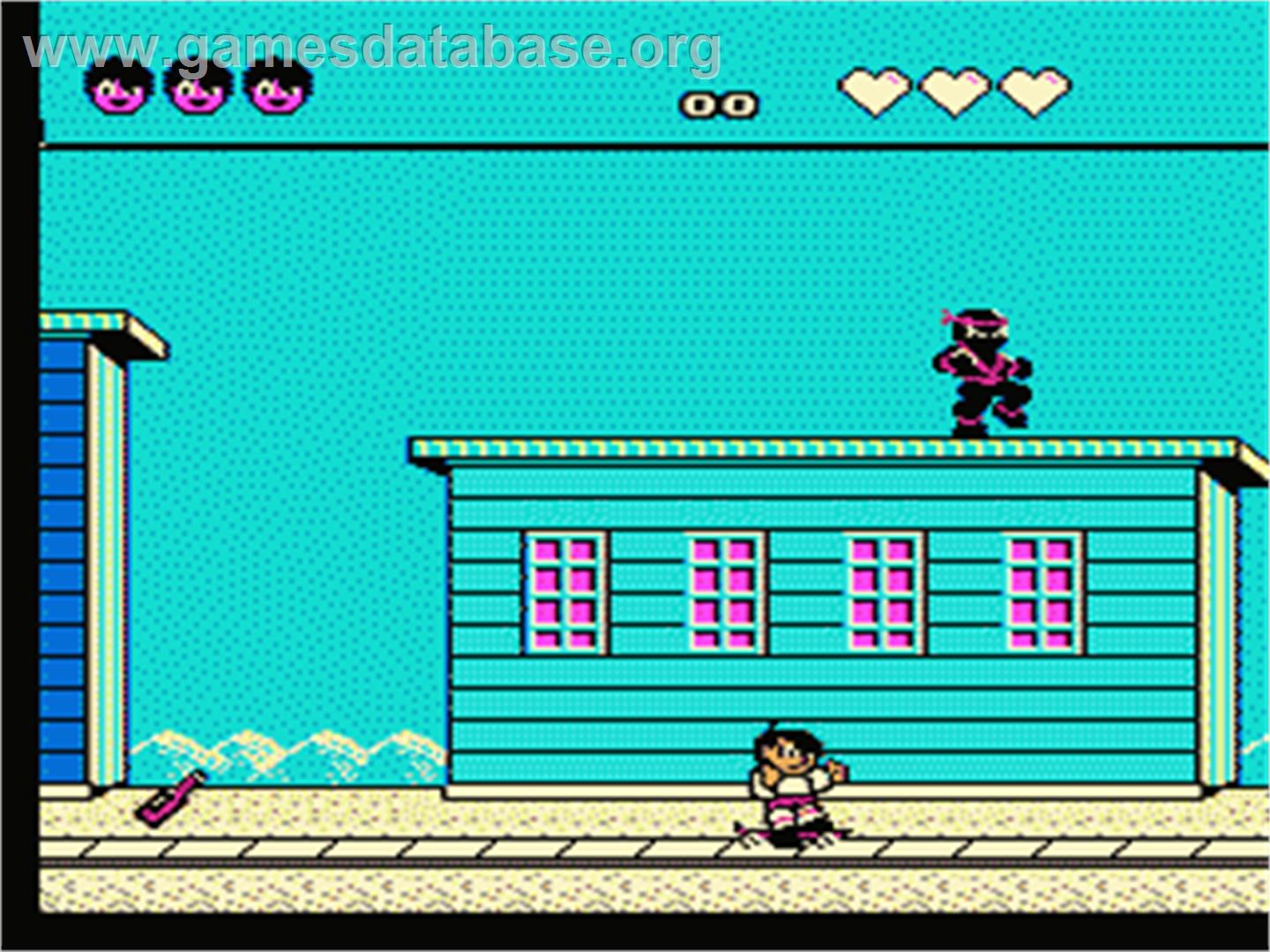 Menace Beach - Nintendo NES - Artwork - In Game