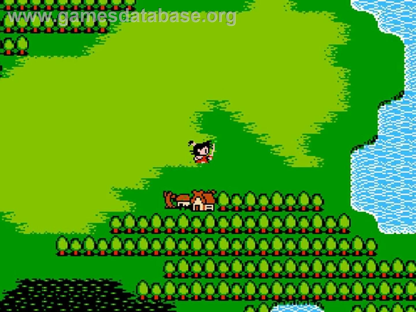 Musashi No Bouken - Nintendo NES - Artwork - In Game