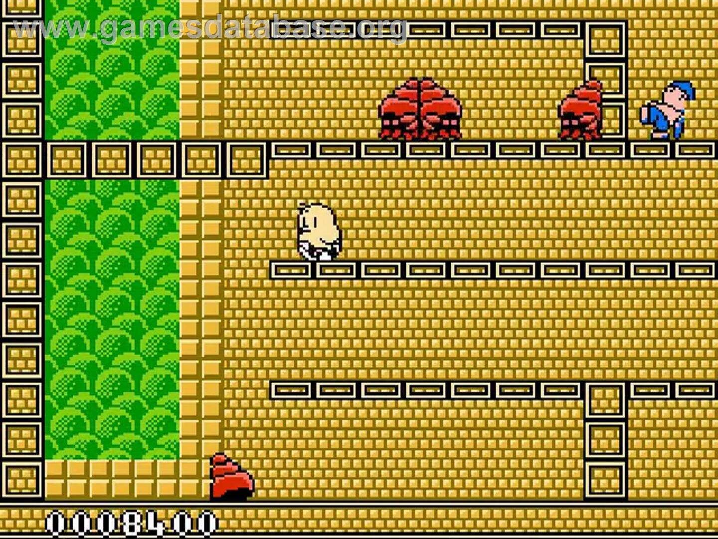 New Zealand Story, The - Nintendo NES - Artwork - In Game