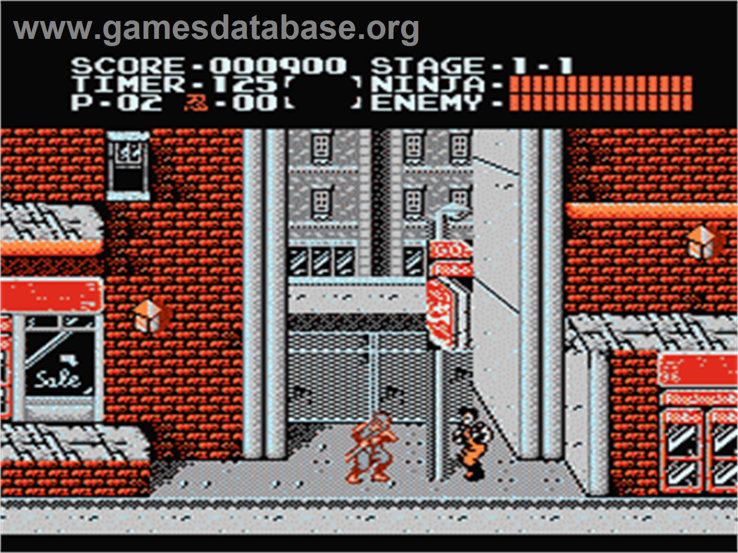 Ninja Gaiden - Nintendo NES - Artwork - In Game