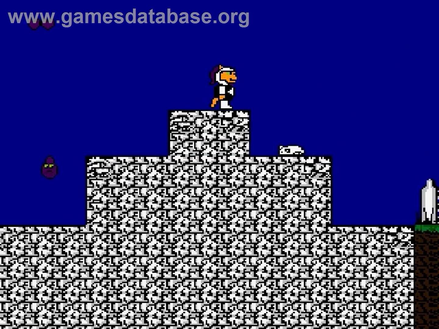 Nomolos - Storming the CATsle - Nintendo NES - Artwork - In Game