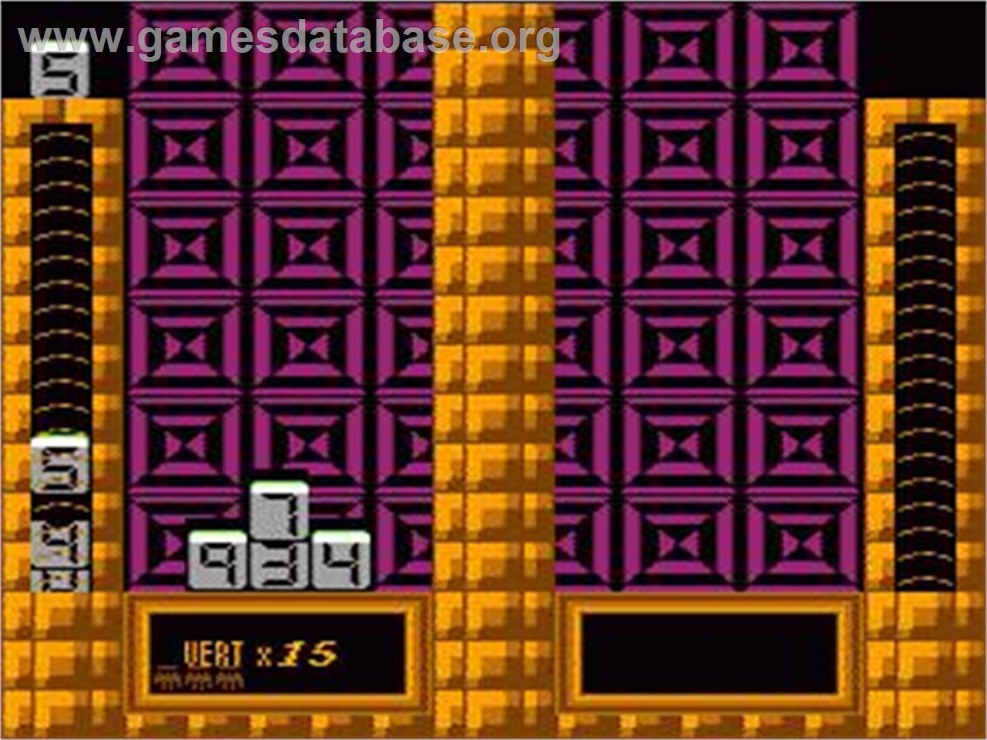 Poke Block - Nintendo NES - Artwork - In Game