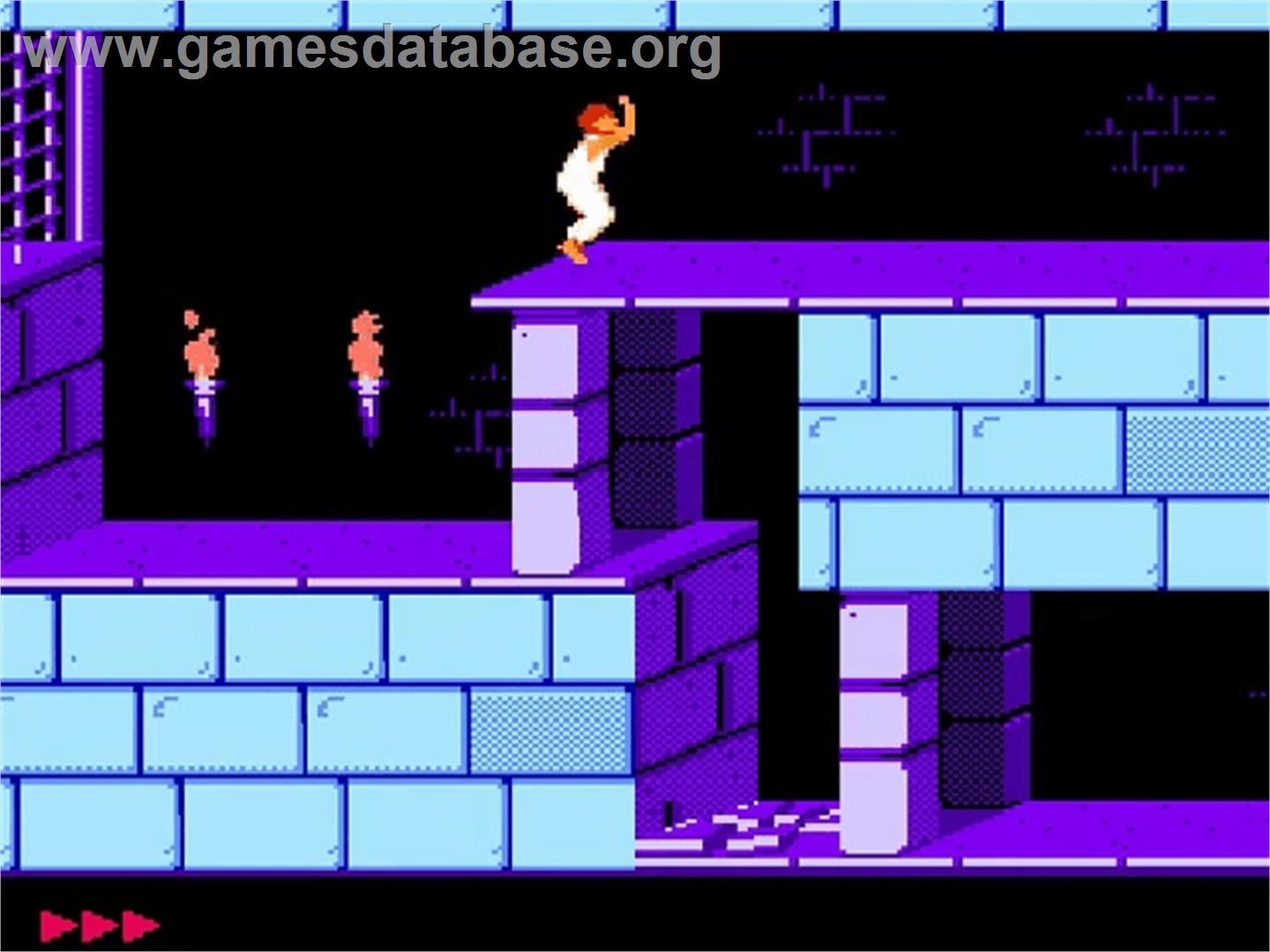 Prince of Persia - Nintendo NES - Artwork - In Game