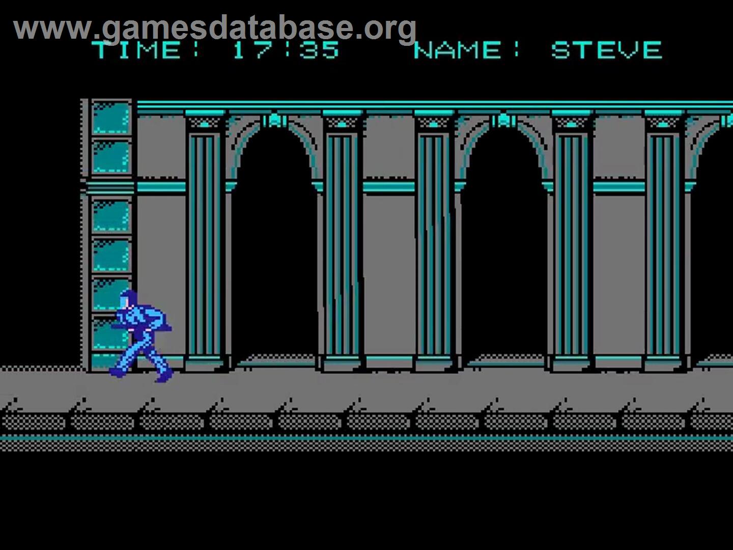 Rescue - The Embassy Mission - Nintendo NES - Artwork - In Game