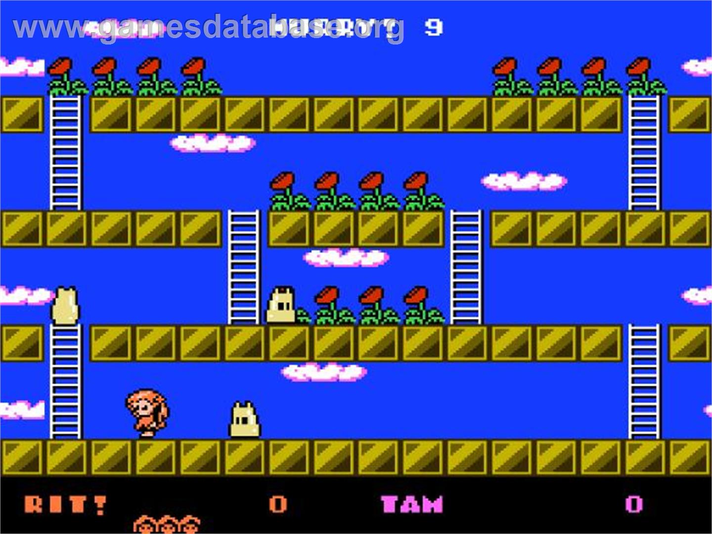 Rod Land - Nintendo NES - Artwork - In Game