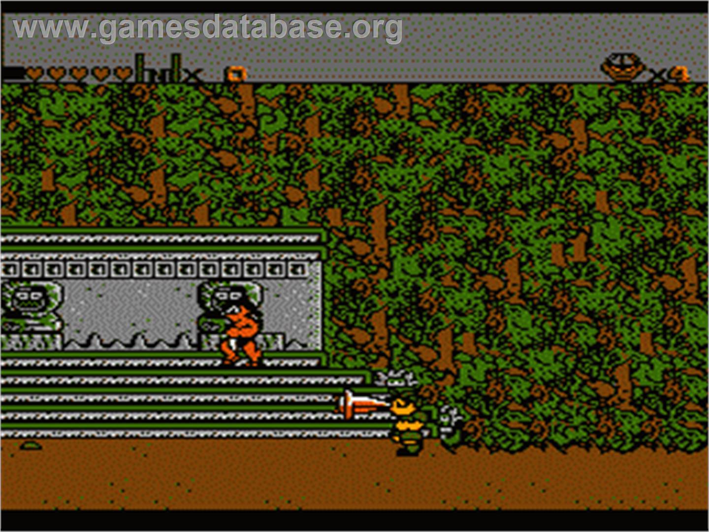 Secret Scout in the Temple of Demise - Nintendo NES - Artwork - In Game