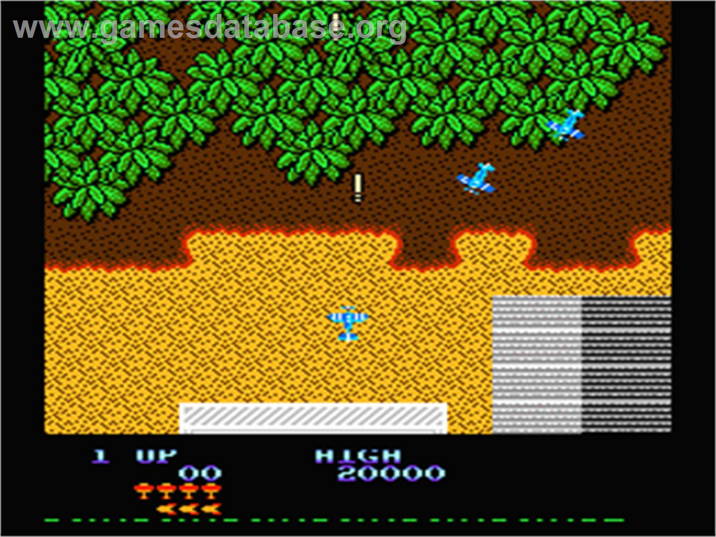 Sky Shark - Nintendo NES - Artwork - In Game