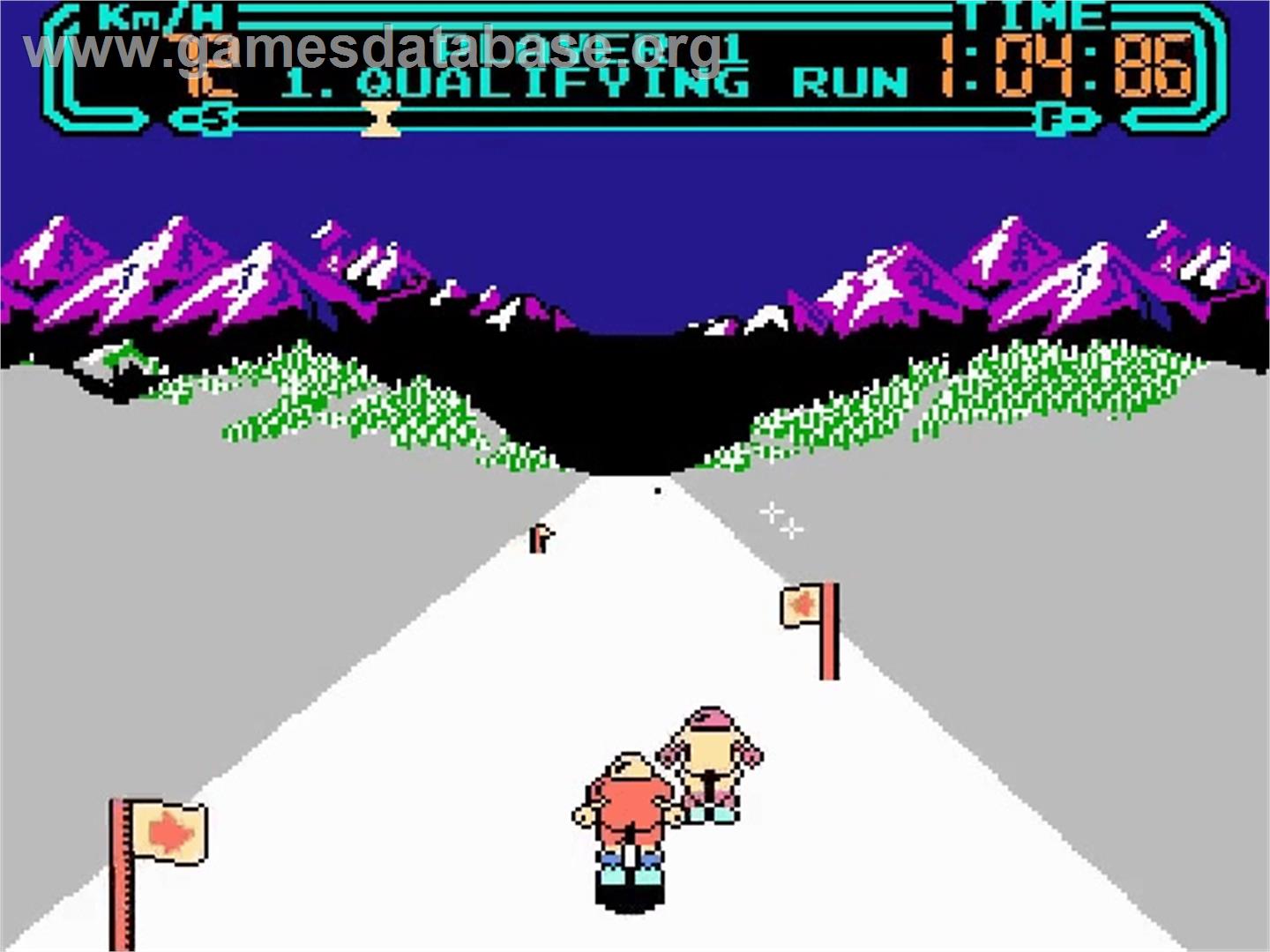 Slalom - Nintendo NES - Artwork - In Game