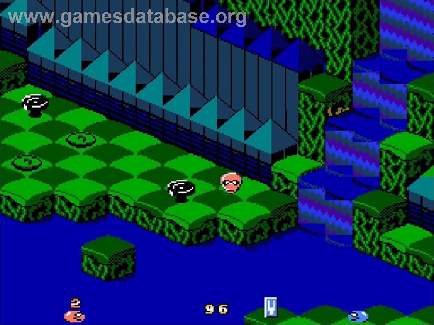 Snake Rattle 'n Roll - Nintendo NES - Artwork - In Game