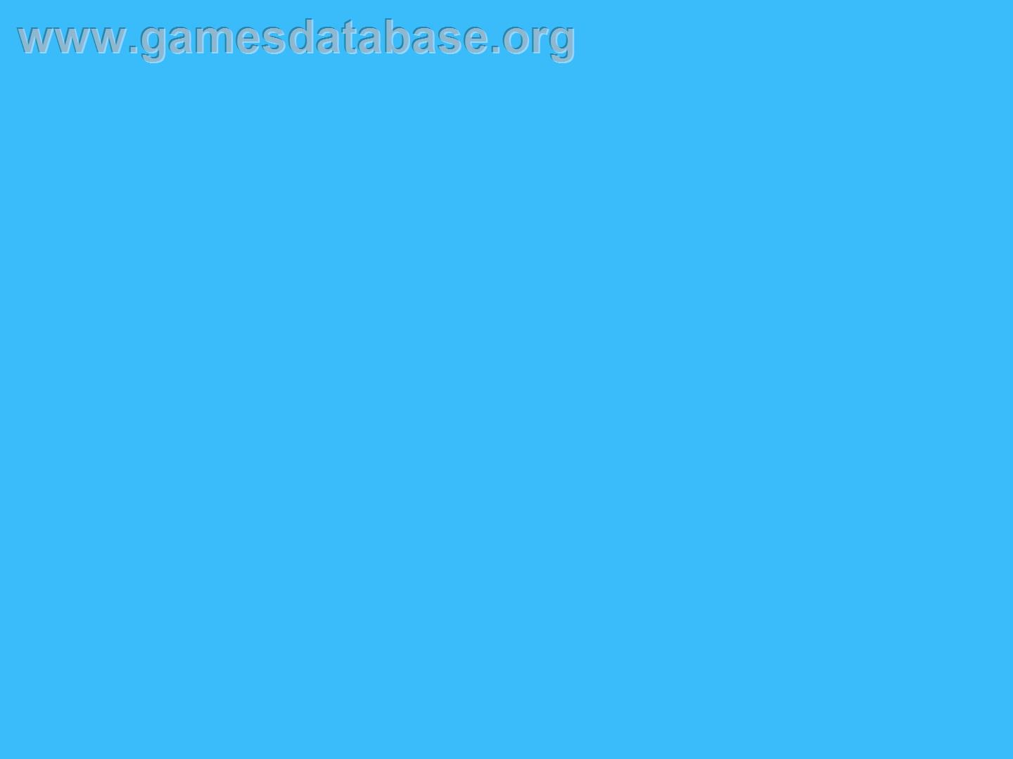 Super Mario Bros. 2 - Nintendo NES - Artwork - In Game