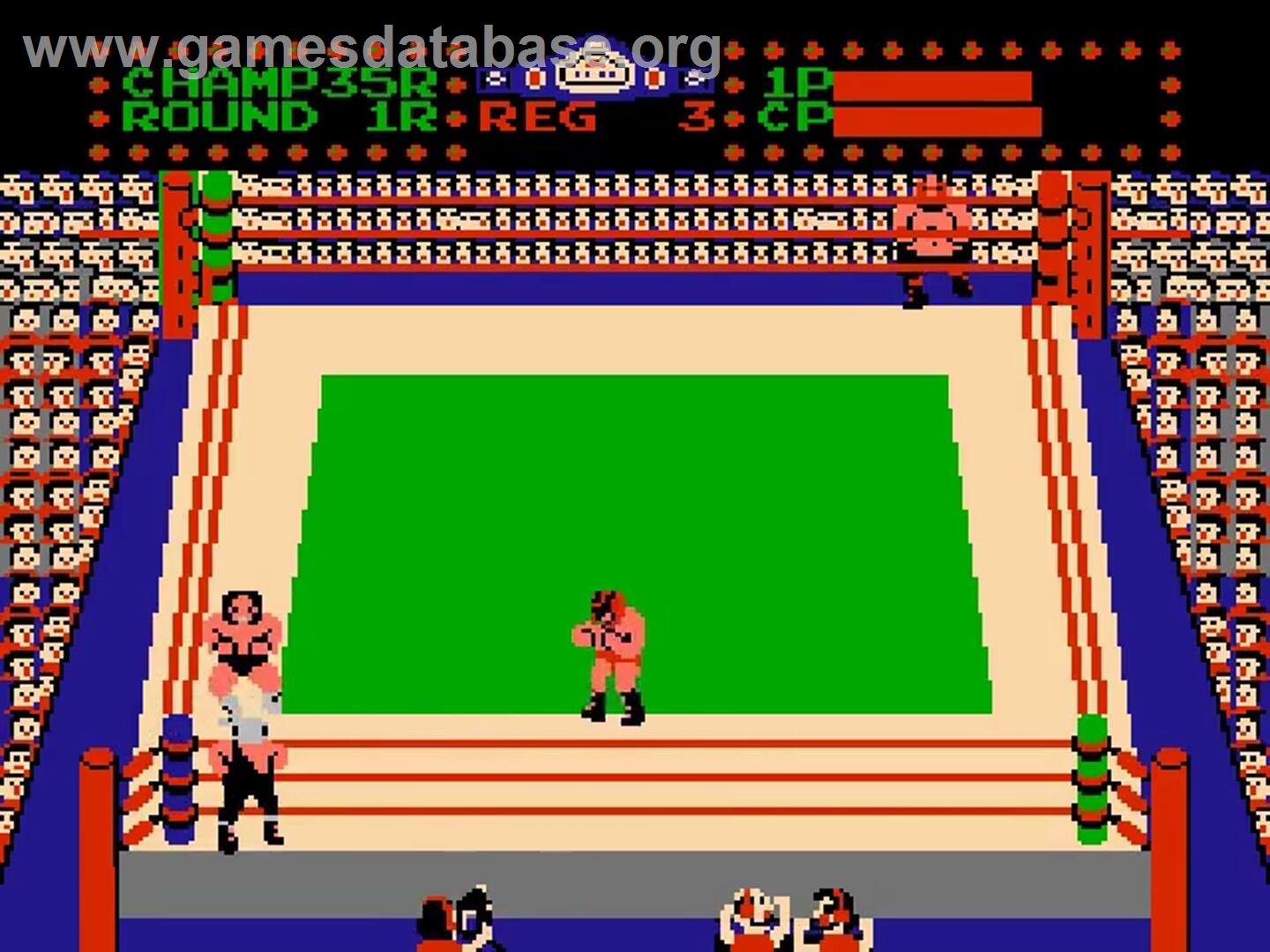 Tag Team Wrestling - Nintendo NES - Artwork - In Game
